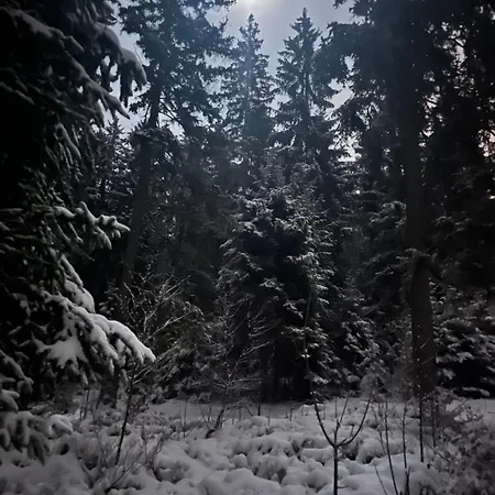 Apartment Pod Spicakem *